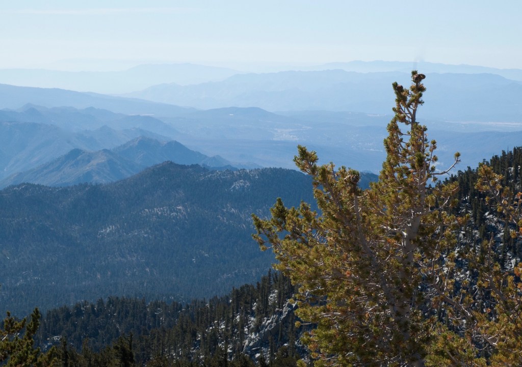 A Good Book and&nbsp;Backpacking