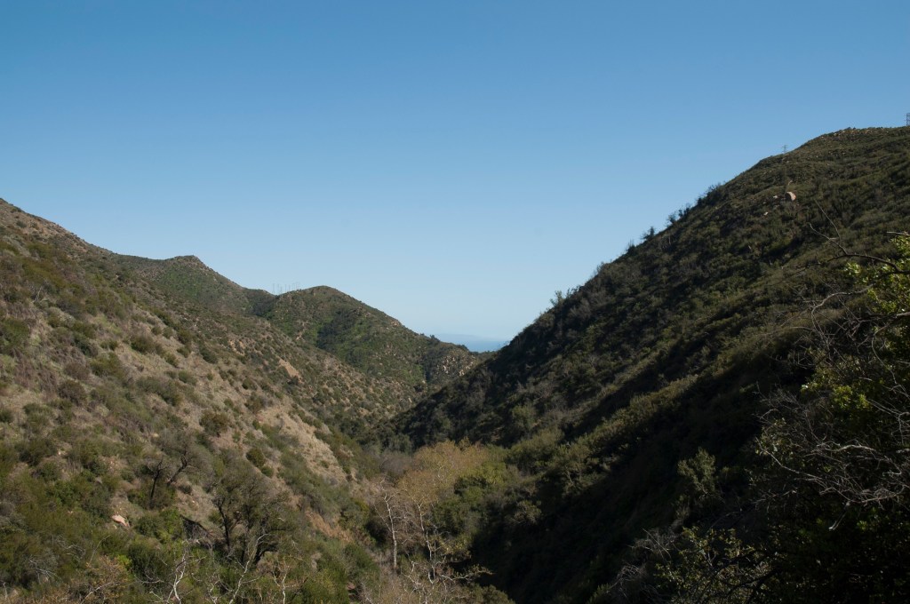 Awake for the Earthquake